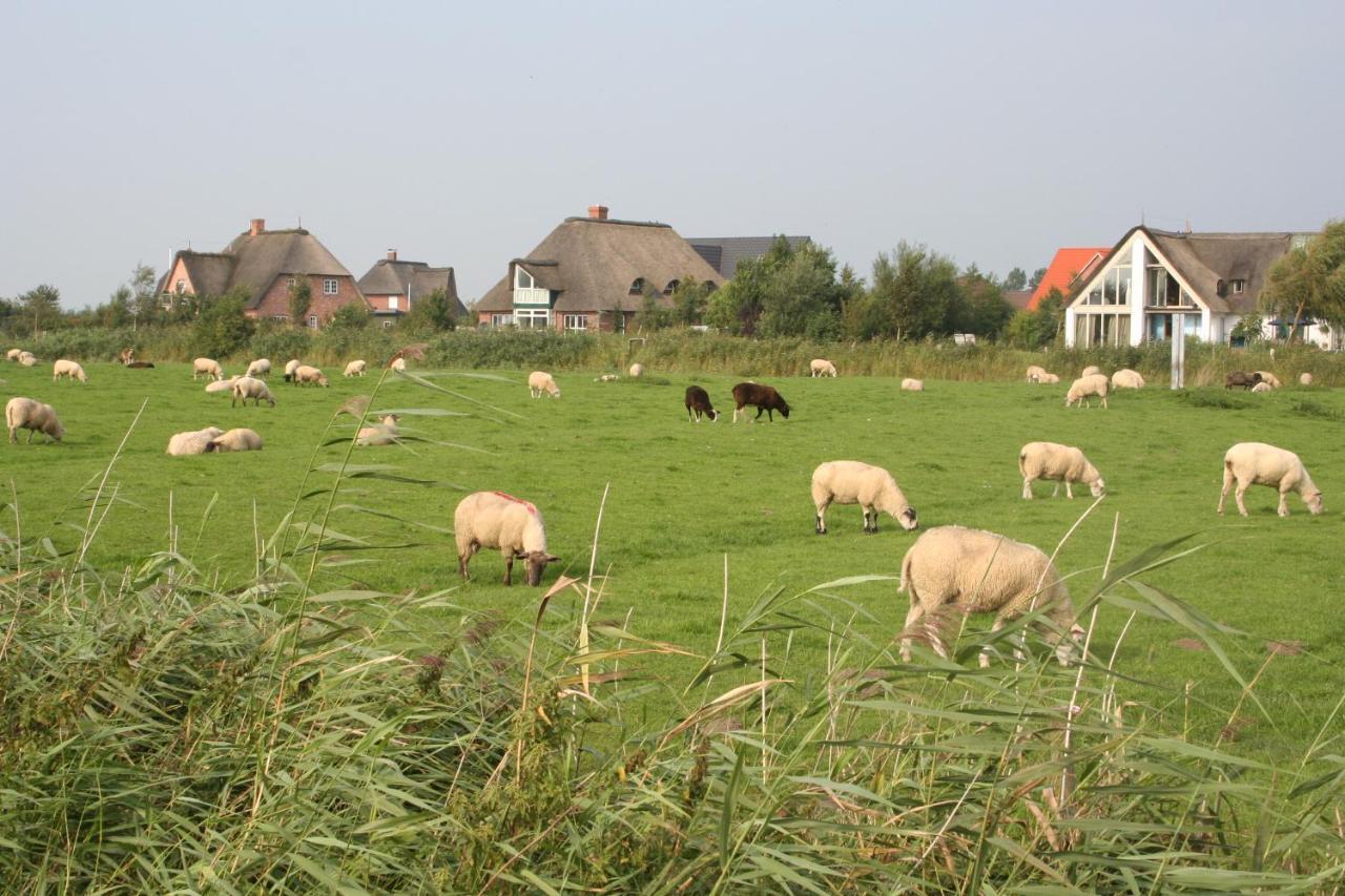 Gaestehaus Gudrun Tönning Eksteriør bilde